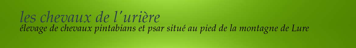 les chevaux de l'urière